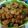 Cooksnap dari Anne Farhana Ellyantie untuk resep Tumis Pedas Tempe Buncis Saus Tiram