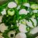 Cooksnap dari Adhe Dinata untuk resep Sup oyong bakso