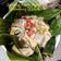 Cooksnap dari DEWI SARASWATI untuk resep Garang Asem Ayam Belimbing Wuluh