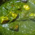 Mamta Shahu का कुकस्नैप जब उन्होंने पालक पनीर (Palak Paneer Recipe in Hindi) बनाया था।