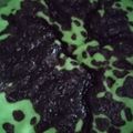 Cooksnap dari Umi Fitriani untuk resep Bolu Pandan Kukus