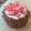 El cooksnap de Lilian Aquino cuando hizo Torta Brownie.