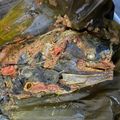 Cooksnap dari Sesi Sesaria untuk resep Pepes Ikan Mas Kemangi