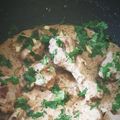 Bushra Jawad's cooksnap of when they made Butter chicken.