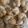 BrookehGrande's cooksnap of when they made Parmesan garlic knots.