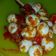 Cooksnap dari Maghfiro untuk resep Semur telur terong