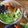 Cooksnap de Au Rèl sur la recette Salade bowl style sushi