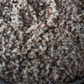 El cooksnap de Raquel cuando hizo Risotto de morcilla de Burgos.