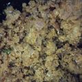 Meera Thacker's cooksnap of when they made દૂધીના મૂઠીયા (Dudhi Muthia Recipe In Gujarati).