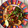 Vaidehi J Shah's cooksnap of when they made ઓનીયન લચ્છા સલાડ (Onion lachha salad Recipe in Gujarati).