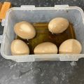 Cooksnap dari ekitchen untuk resep Telur Setengah Matang Toping Ramen (Ajitsuke Tamago)