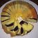Cooksnap dari Widya Lestari untuk resep Butter Cake Enak Lembut