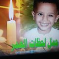 صورة من مصطفى العص، شاركها بعد تجربة وصفة مشروب القرفه باللبن من مشروبات الشتاء اللذيذه