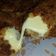 El cooksnap de Sangonereta cuando hizo Palitos de queso con un toque a bacon.