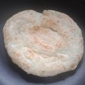 Cooksnap Dunia Hanya Sementara Fy semasa beliau membuat Roti Canai Rangup.