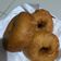 Cooksnap dari Winda DW untuk resep Donat simpel pasti jadi