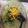 Cooksnap dari Moe Moe Helm untuk resep Bobor Bayam Jagung
