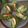 El cooksnap de Beatriz Herrera Martinez cuando hizo Aguacates rellenos.