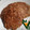 Torrie Ben's cooksnap of when they made Wheat cookies....