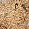 Cooksnap dari Tota Lasmauli Silitonga untuk resep Kacang tojin bumbu resep keluarga