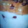 Pari Chudasama's cooksnap of when they made ડાલગોના કોફી (Dalgona Coffee Recipe In Gujarati).
