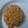 El cooksnap de flordelismaciel cuando hizo Galletas de avena, manzana y coco.