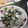 Amanda 的 蒜香酒煮大蛤蜊 cooksnap