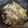 El cooksnap de Noelia Álvarez Blanco cuando hizo Rigatoni con morcilla y champiñones.