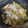 El cooksnap de Noelia Álvarez Blanco cuando hizo Rigatoni con morcilla y champiñones.