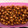 El cooksnap de ChikiTiki cuando hizo Garbanzos al horno (picoteo).