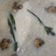 Cooksnap dari Whosy Whoreary untuk resep Wedang Kacang Tanah