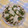 El cooksnap de Mayte Varela cuando hizo Carpaccio de champiñones.