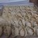 Cooksnap dari Endah Lestari untuk resep Mandu ayam (dumpling korea)
