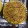 El cooksnap de Alejandro cuando hizo Tortilla de fideos.