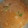 Nithyakalyani Sahayaraj's cooksnap of when they made சிக்கன் கிரேவி.