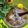 Cooksnap của Nhà Vân khi họ làm theo món 🌱 Vải Thiều Hạt Chia Giải Khát