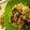 loveeternal369's cooksnap of when they made creamy orzo pasta.