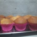 El cooksnap de alvarezew cuando hizo Cupcackes sin manteca.