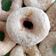 Cooksnap dari Dee untuk resep Donat Empuk - Low Budget - Anti Gagal