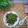 Cooksnap Zareena Shahmarudin semasa beliau membuat Kangkung Goreng Belacan.