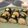 Cooksnap dari Gie's Mom untuk resep Salmon sushi