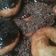 Cooksnap dari Lynha Abidin untuk resep Donat Empuk Simple