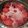 El cooksnap de nati valdenegro cuando hizo Manzanas al vino tinto.