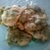 Cooksnap dari Nana Ratna untuk resep Bakwan sayur bayam