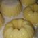 Cooksnap dari anik untuk resep Puding jagung manis vlaa cocopandan
