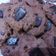 Cooksnap dari Fyazhu untuk resep Choco Chips Cookies