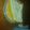 El cooksnap de Jessica Alza cuando hizo Lemon pie.