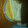 El cooksnap de Jessica Alza cuando hizo Lemon pie.