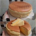 Cooksnap dari Herfien Sri Wahyuwati untuk resep Taiwanese Castella (Jiggly Cake)