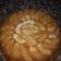 El cooksnap de Gisela Marcia cuando hizo Torta de manzana invertida.